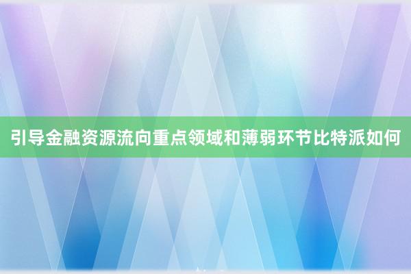 引导金融资源流向重点领域和薄弱环节比特派如何