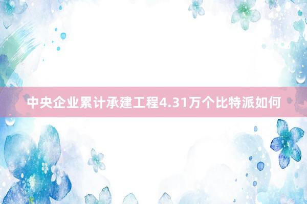 中央企业累计承建工程4.31万个比特派如何