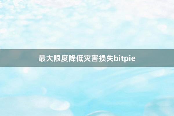 最大限度降低灾害损失bitpie