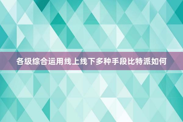 各级综合运用线上线下多种手段比特派如何