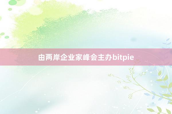 由两岸企业家峰会主办bitpie