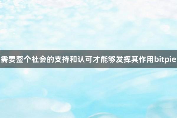 需要整个社会的支持和认可才能够发挥其作用bitpie