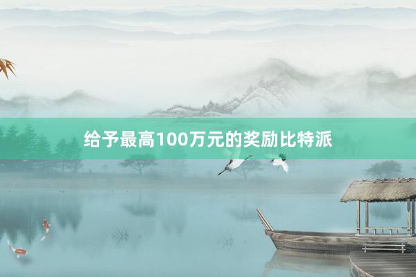 给予最高100万元的奖励比特派