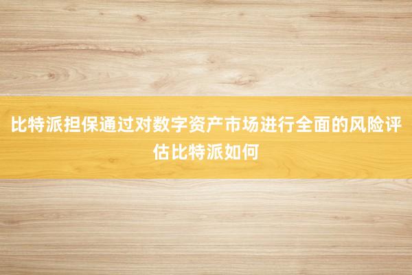 比特派担保通过对数字资产市场进行全面的风险评估比特派如何