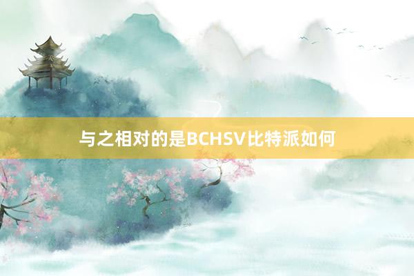 与之相对的是BCHSV比特派如何