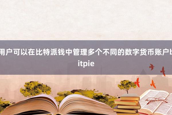 用户可以在比特派钱中管理多个不同的数字货币账户bitpie