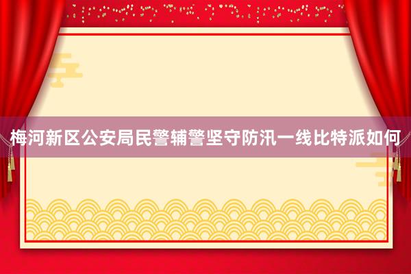 梅河新区公安局民警辅警坚守防汛一线比特派如何