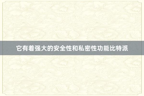 它有着强大的安全性和私密性功能比特派