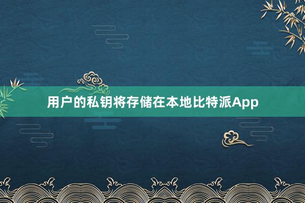 用户的私钥将存储在本地比特派App