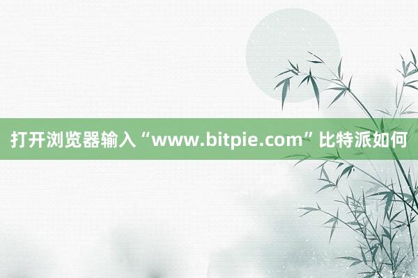 打开浏览器输入“www.bitpie.com”比特派如何