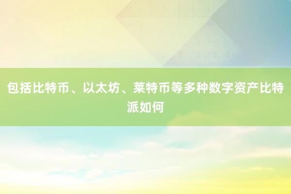 包括比特币、以太坊、莱特币等多种数字资产比特派如何