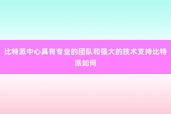 比特派中心具有专业的团队和强大的技术支持比特派如何