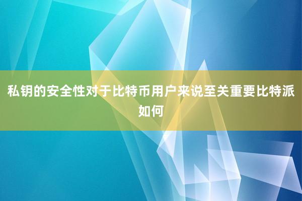 私钥的安全性对于比特币用户来说至关重要比特派如何