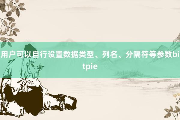 用户可以自行设置数据类型、列名、分隔符等参数bitpie