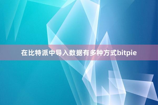 在比特派中导入数据有多种方式bitpie