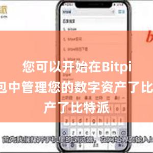 您可以开始在Bitpie钱包中管理您的数字资产了比特派