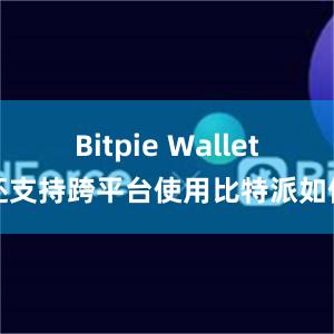 Bitpie Wallet还支持跨平台使用比特派如何