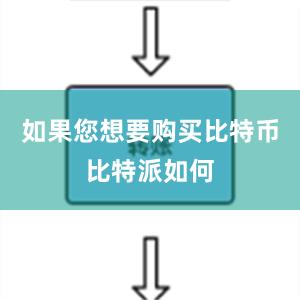 如果您想要购买比特币比特派如何