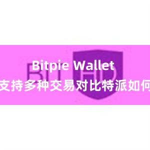 Bitpie Wallet 支持多种交易对比特派如何