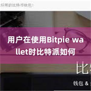 用户在使用Bitpie wallet时比特派如何